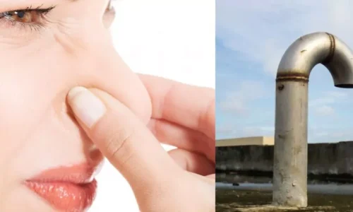 Sewage Smell Coming From Air Vents? – Cause & Solution