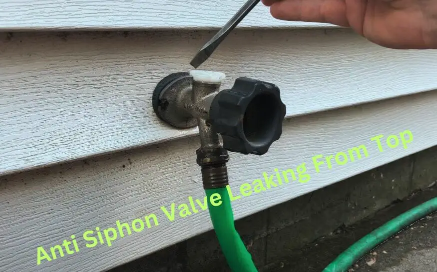 Anti Siphon Valve Leaking From Top