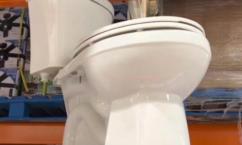 Toilet Clogs Every Time I Poop: Say Goodbye to Toilet Clogs