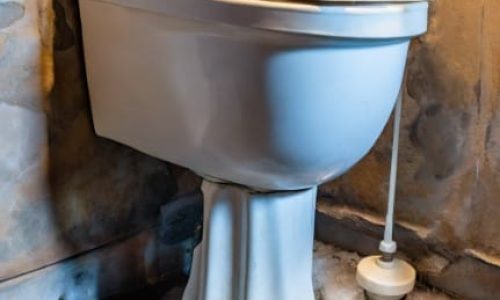 Water Leaking Under Toilet Base When Showering: Find And Fix!
