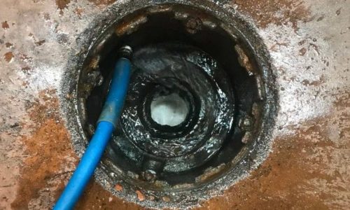 Can You Have a Leach Field Without a Septic Tank? Break the Myth