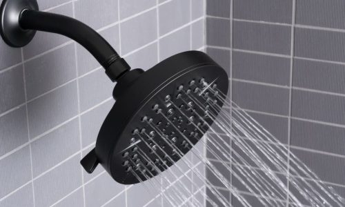Moen Vs Delta Shower Head : The Ultimate Comparison Guide