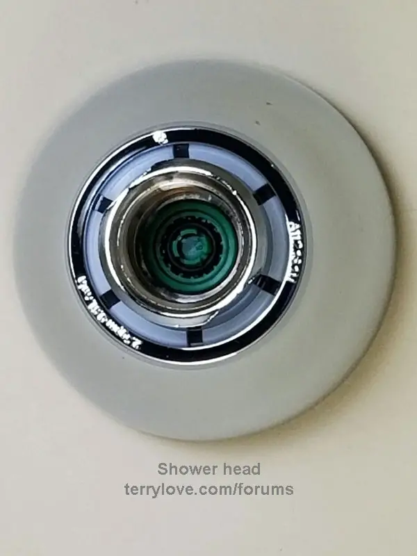 Shower Makes High Pitch Noise