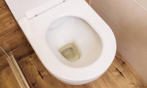 Toilet Bowl Water Level Drops Overnight