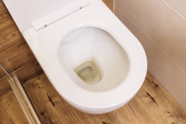 Toilet Bowl Water Level Drops Overnight
