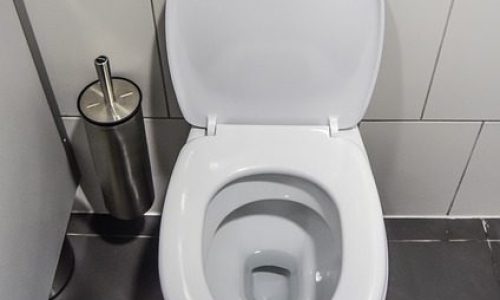 Toilet Tank Losing Water But No Leak: 9 Reasons And Fix!