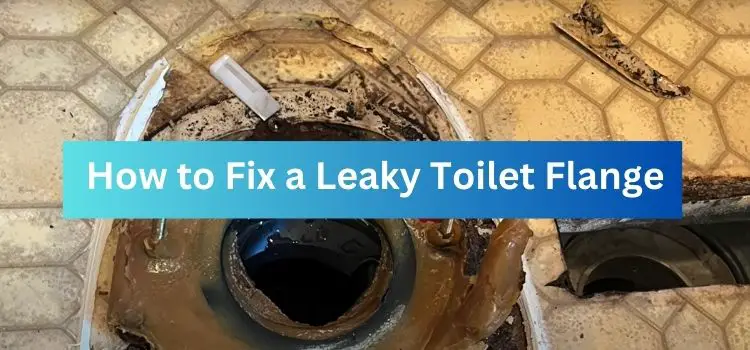 How to Fix a Leaky Toilet Flange