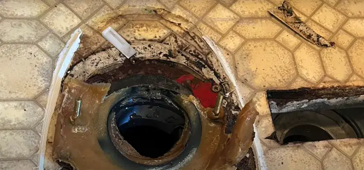 How to Fix a Leaky Toilet Flange