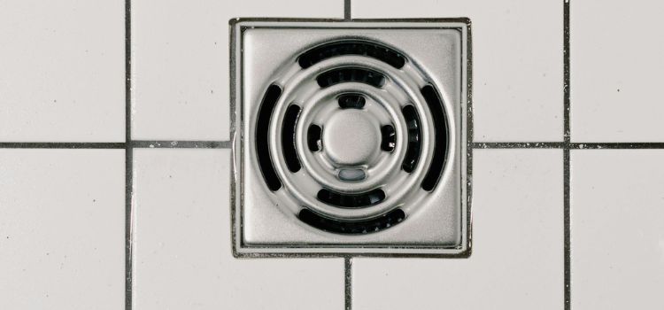 Plunging Shower Drain Made It Worse