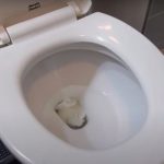 How to Unclog a Toilet Without a Plunger