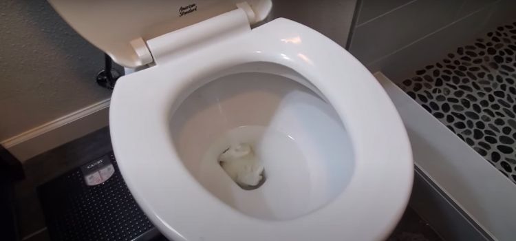 How to Unclog a Toilet Without a Plunger