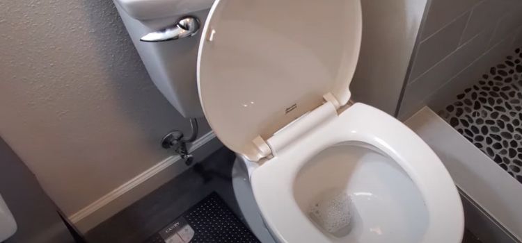 How to Unclog a Toilet Without a Plunger 