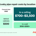 Cost for Plumber to Fix Leaky Pipe