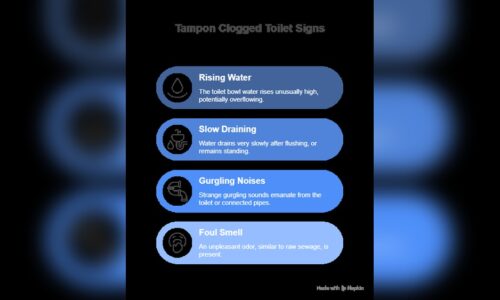 How To Unclog A Toilet Clogged With Tampons: Quick Effective Tips